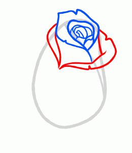 Lecke rajz, hogyan kell felhívni a rózsa