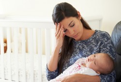 Nyugtató gyógynövények (fűszernövények) nyugtató gyógynövények