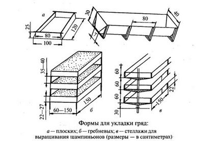 Növekvő gombát otthon technológiával