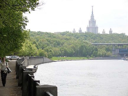 Veréb-hegy - a park a Veréb-hegy