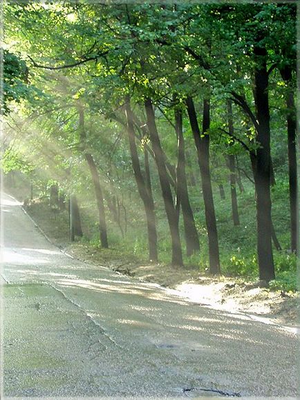 Veréb-hegy - a park a Veréb-hegy