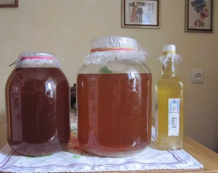 Borhűtő saját kezűleg (a Peltier-elem), berendezések, technológiai és fejlesztési (db) Borhűtő saját kezűleg (Peltier), berendezések, technológia, fejlesztés