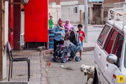 Hurghada nélkül Vengriyan (22 fotó)