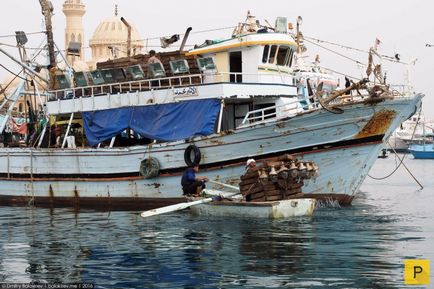 Hurghada nélkül Vengriyan (22 fotó)