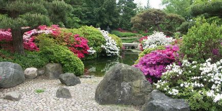 Japán kert - Parkosítás a kezüket a kövek vagy növények fotókkal