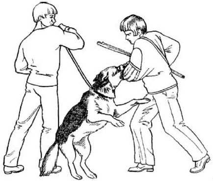 Elleni védelem kutyák - módszerek és eszközök hatékony védelme kutyák