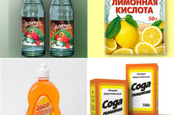 Hogyan működik egy gomba Hogyan működik egy gomba
