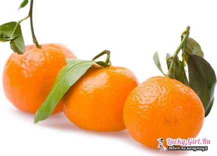 Hogyan növény otthon mandarin Hogyan növény otthon mandarin