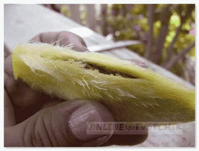 Mi nőnek mangó otthon Mi nőnek mangó otthon