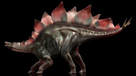 Hogyan alakult ki a dinoszauruszok Hogyan alakult ki a dinoszauruszok