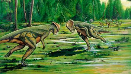 Hogyan alakult ki a dinoszauruszok Hogyan alakult ki a dinoszauruszok