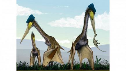 Hogyan alakult ki a dinoszauruszok Hogyan alakult ki a dinoszauruszok