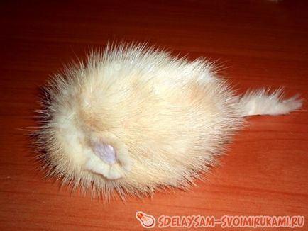 Hogyan varrni egy macska játék saját kezűleg Hogyan varrni egy macska játék saját kezűleg