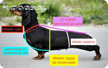 Hogyan varrni egy díj Hogyan varrni egy díj