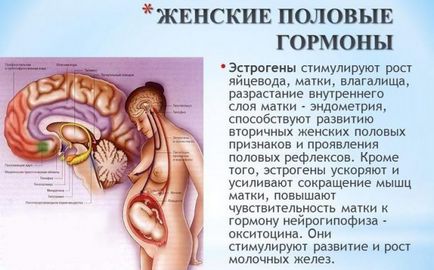 hormonális termékek hormonális termékek