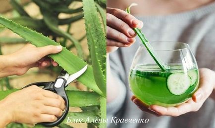 Aloe juice otthon Aloe juice otthon