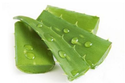 Aloe juice otthon Aloe juice otthon