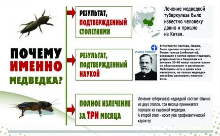 A tuberkulózis kezelésére otthon A tuberkulózis kezelésére otthon