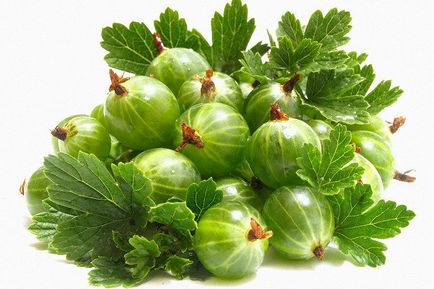 A tuberkulózis kezelésére otthon A tuberkulózis kezelésére otthon