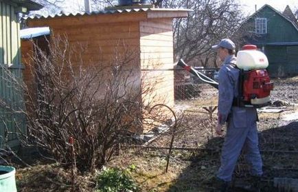 Mi a teendő a kertben tavasszal Mi a teendő a kertben tavasszal