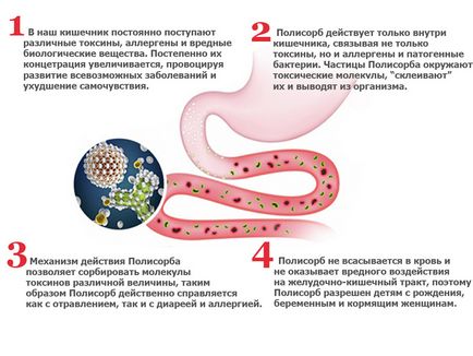 Escherichia coli kezelés Escherichia coli kezelés