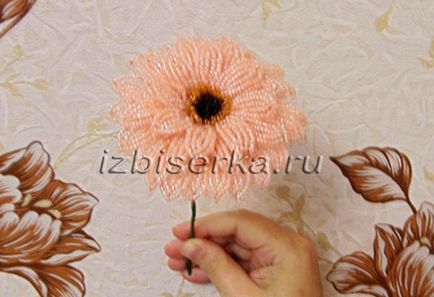 Mesterkurzus gerbera gyöngy