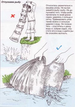Akváriuma saját kezűleg Akváriuma saját kezűleg