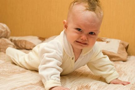 Mivel az első fogak Mivel az első fogak
