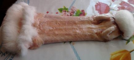 Öltözködés nyúl bőr otthon Öltözködés nyúl bőr otthon