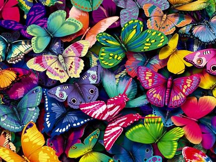Butterfly mint emberi Butterfly mint emberi