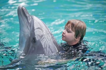 25 szokatlan tények a delfinek