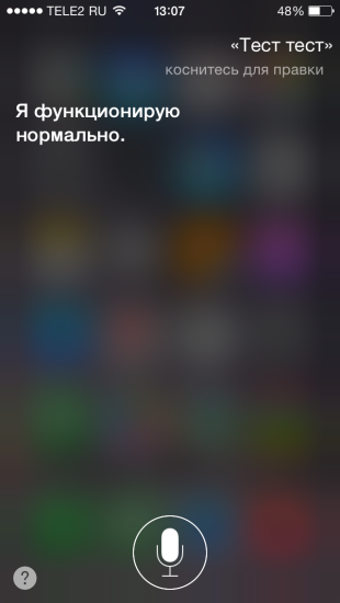 40 Fun Team Siri orosz
