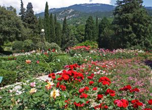 Botanical Garden Krím