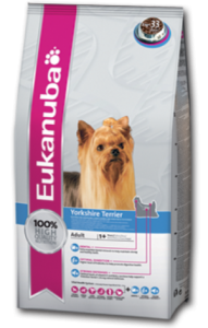 Mi a takarmány egy Yorkshire terrier, hogy nő egészséges kutya (Yorkshire) Mi a takarmány egy Yorkshire terrier növekszik az egészséges kutya