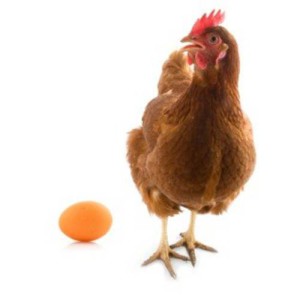 Mi volt előbb, a tyúk vagy a tojás válasz filozófusok és tudósok