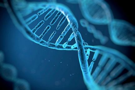 Mi a DNS és RNS a biológiában