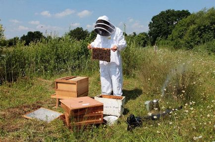 Mi Nucleus méhészetben