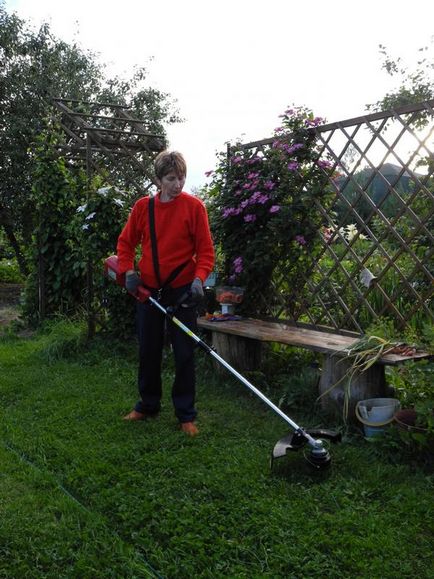 Elektromos fűnyíró és vágó szokásos