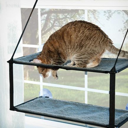 Függőágy macskáknak az akkumulátor, hogy hogyan lehet a saját kezét egy házat, és cicák