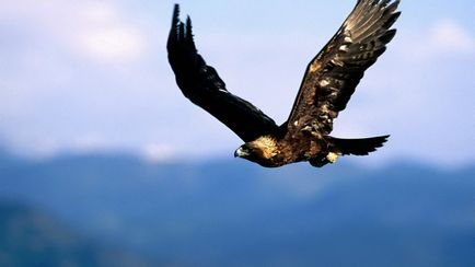 Tien Shan hegységben (adatbázis bányászati talajkutatók jelent) Tien Shan hegységben