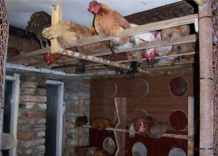 Gyártunk fészkeket a csirkék a kezüket lépésről lépésre és képek
