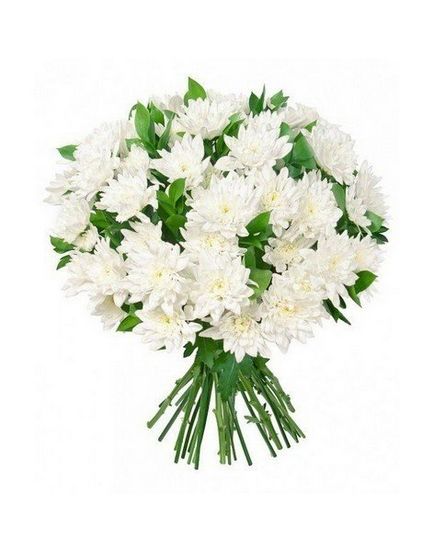 Milyen virágot vásárolni a temetésre, hét orosz