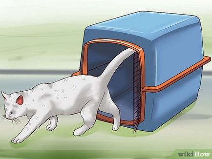 Hogyan lehet megszabadulni a macskák