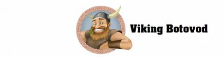 Hogyan csalnak előfizetőknek VKontakte ingyenes viking botovod