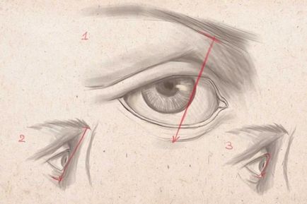 Hogyan kell felhívni az emberi szem ceruza kezdőknek lépésről lépésre video