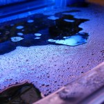 Hogyan tisztítsa meg a víz az akváriumban a halak ház