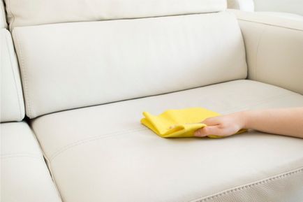 Hogyan tisztítható kanapén otthon 12 módokon szövet vagy bőr kárpitozással