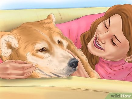 Hogyan lehet csökkenteni a kutya körmök