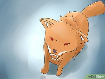 Hogyan lehet elkapni egy róka 1