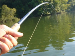 Hogyan kell kötni a pórázt a fő vonal - a legjobb halászat csomó kötődni fonat, szál